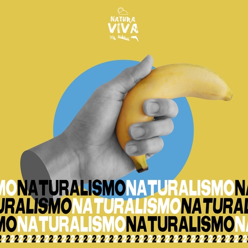 VA - Naturalismo 2 [NATCOMPI012]